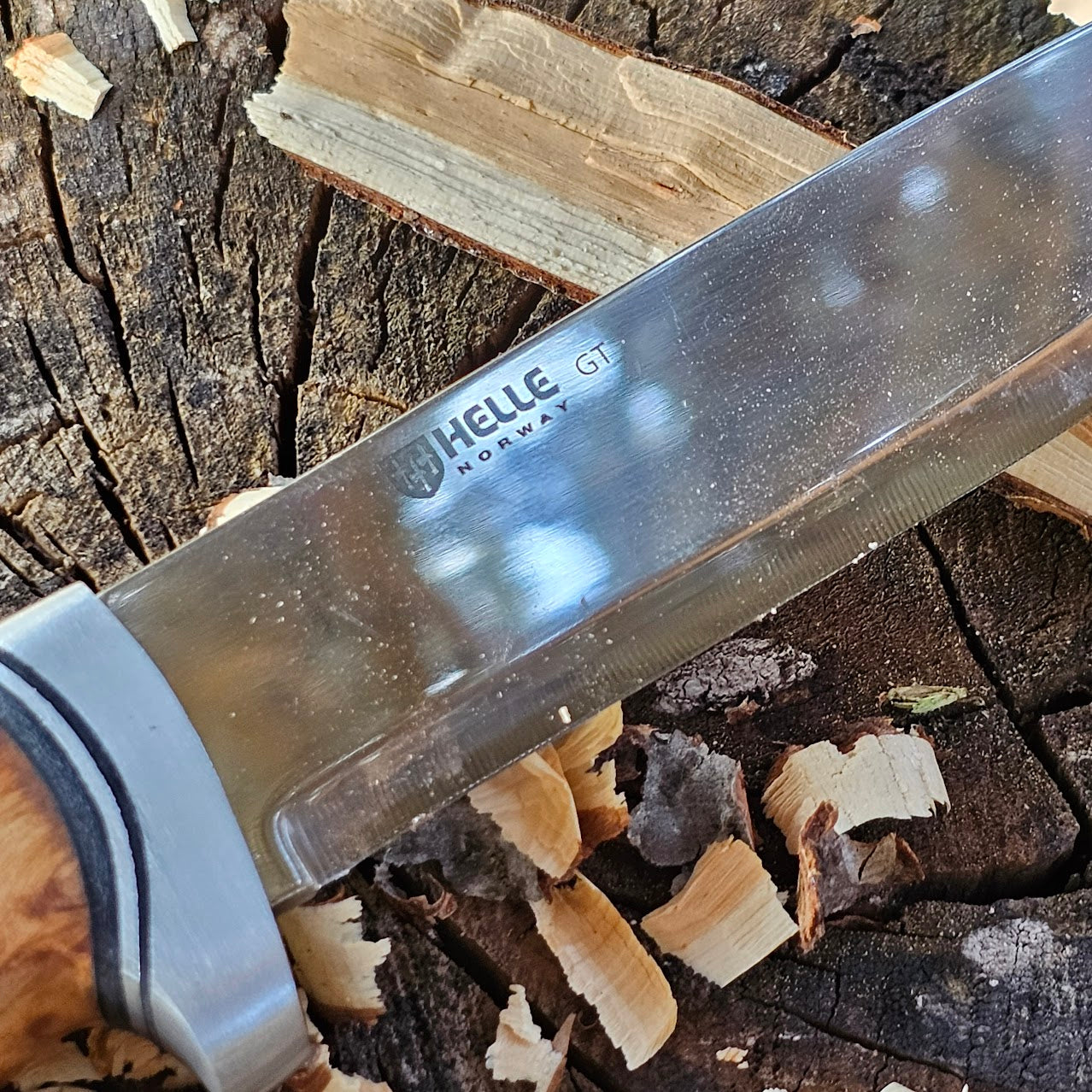 Helle GT H3LS