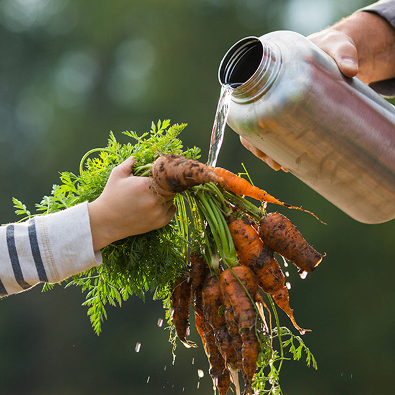 64oz Wide with Loop Cap