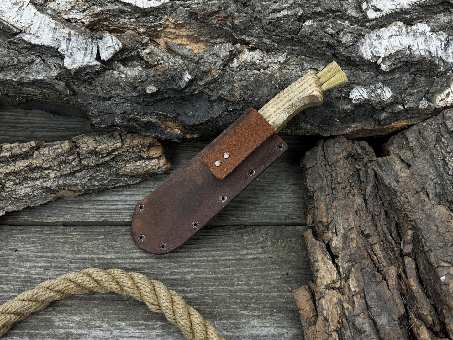 Mushroom Knife with Brush For Harvesting, 7.5 cm (2.95 inches)